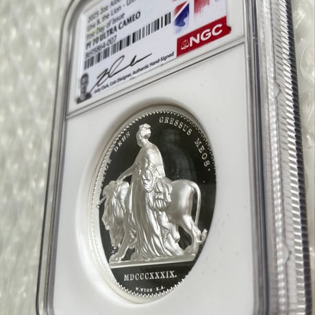 【2oz・FDI・UHR・COA用紙あり】 NGC鑑定PF70+発行即日鑑定 ウナとライオン 2025年 イギリス領オルダニー島 ウルトラハイレリーフ 2オンス銀貨 シルバー プルーフコイン