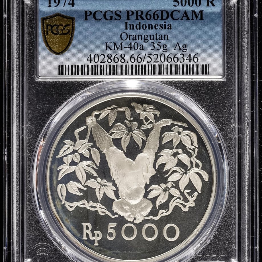 6ad7043c58b32b1c2e46986c