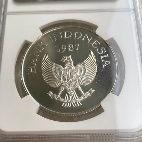 WWF世界野生生物基金記念シリーズ 1987年 インドネシア イノシシ NGC鑑定PF67 10000ルピー銀貨 シルバー プルーフコイン Indonesia Wild Boar