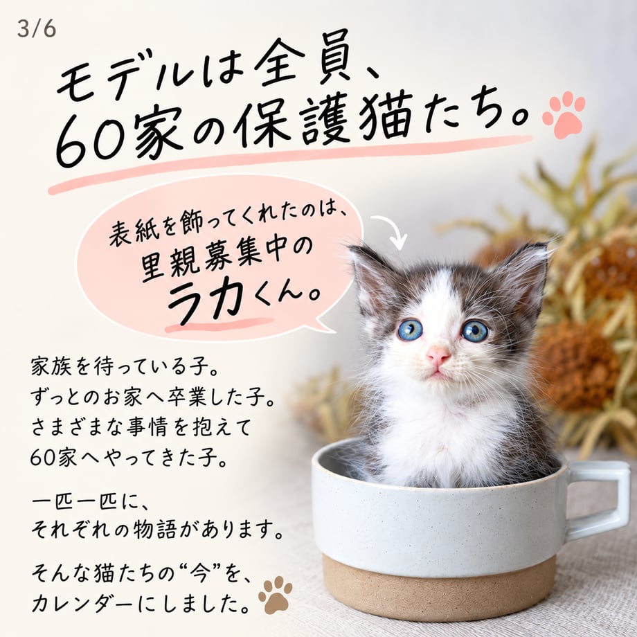 6169cedc2b3ca1443f0d56eb