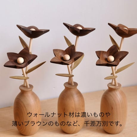 kikka　キキョウ
