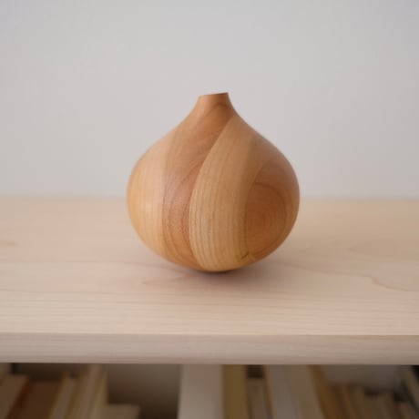 タマネギ　プロトタイプ