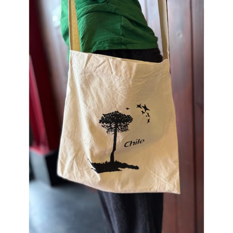 Chile MINI SHOULDER BAG [S-4492]