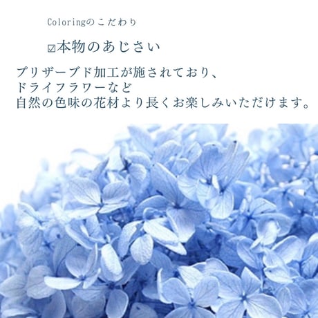 【選べるColor】あじさい×ハーキマーダイヤモンドイヤリング