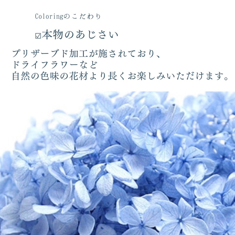 6adb490399178b16a890d31b