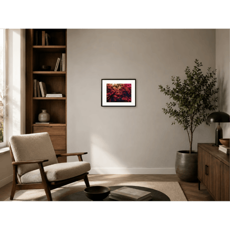WEEKLY PRINT #005 | Ferns, Kyoto | from GAZE vol.15