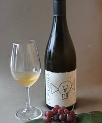 DOKOIKO 2025  750ml　　　　　デラウェア100％、グレープフルーツや南国系フルーツを感じる至福のオレンジ（醸し系）ワイン