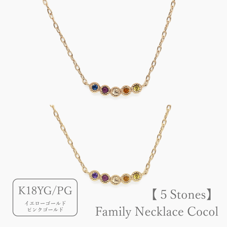 大切な人の宝石を紡ぐ【5石】-Family Necklace（ファミリーネックレス）【選べる誕生石】｜K18イエローゴールド・ピンクゴールド｜Artisan Works