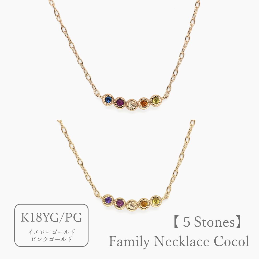 大切な人の宝石を紡ぐ【5石】-Family Necklace（ファミリーネックレス
