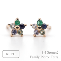 大切な絆を誕生石で紡ぐピアス【5石-選べる誕生石】｜K18PG｜Family Pierce Penta（ファミリーピアス・ペンタ）｜Artisan Works