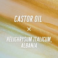 ひまし油 × ヘリクリサム・イタリカム ― 種と花、生命のはじまりと輝き ―