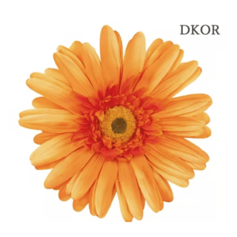 jumbo flower gerbera （ガーベラ） | ALL GOOD FLOWERS
