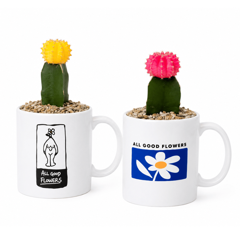 ALL GOOD MUG SABOTEN SET | ALL GOOD FLOWERS STORE