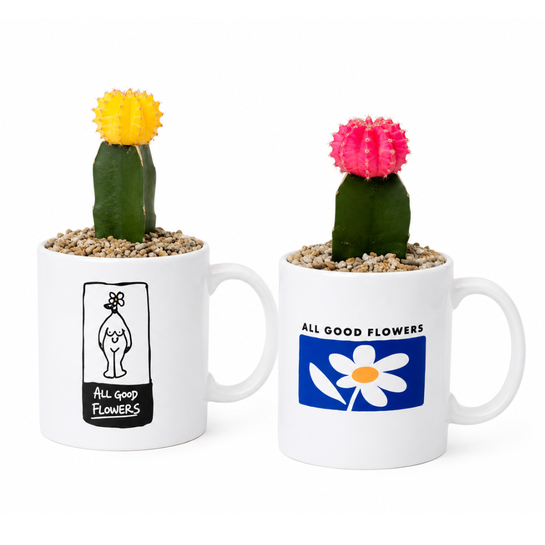 ALL GOOD MUG SABOTEN SET | ALL GOOD FLOWERS STORE