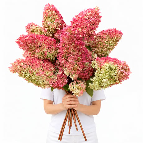 ALL GOOD FLOWERS STORE