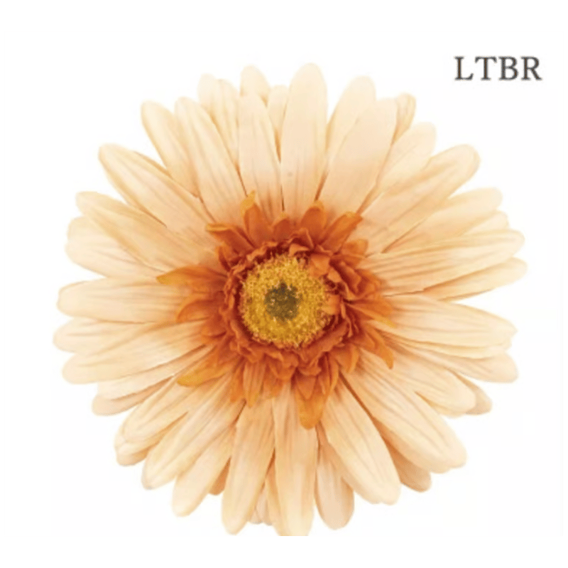 jumbo flower gerbera （ガーベラ） | ALL GOOD FLOWERS