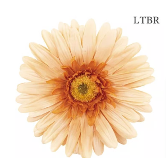 jumbo flower gerbera （ガーベラ） | ALL GOOD FLOWERS