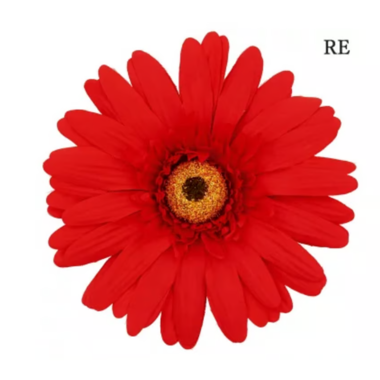 jumbo flower gerbera （ガーベラ） | ALL GOOD FLOWERS