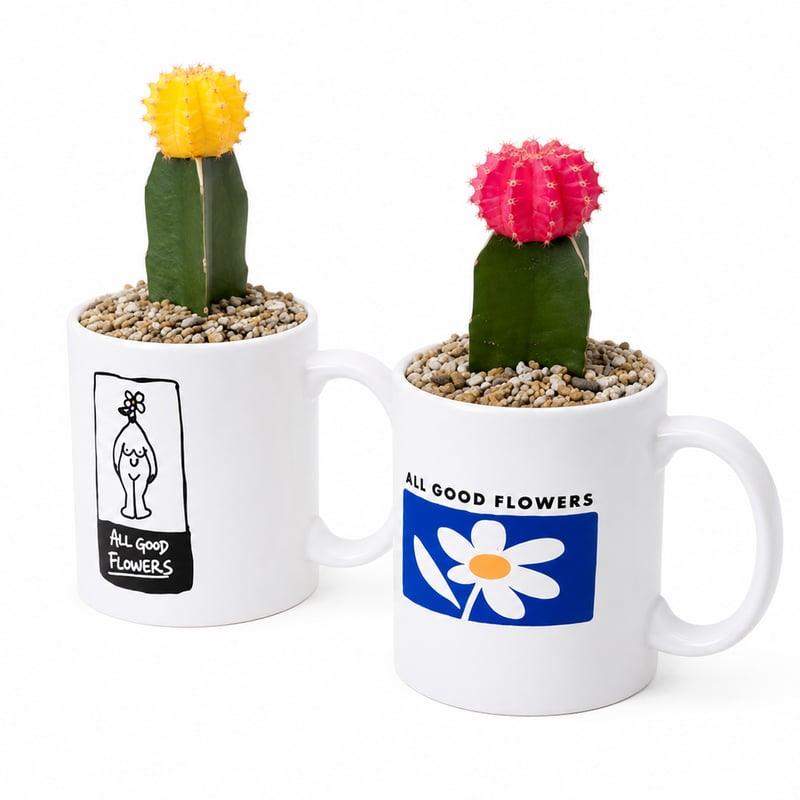 ALL GOOD MUG SABOTEN SET | ALL GOOD FLOWERS STORE