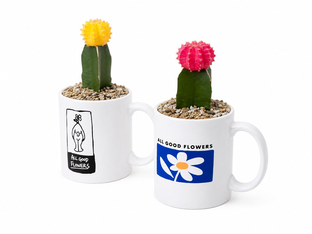 everyone logoマグカップ ABCD FLEURS 限定色 2個セット ALL GOOD MUG SABOTEN SET | ALL GOOD FLOWERS STORE