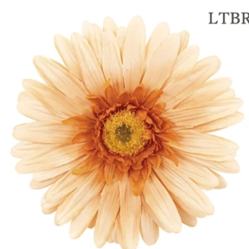 jumbo flower gerbera （ガーベラ） | ALL GOOD FLOWERS