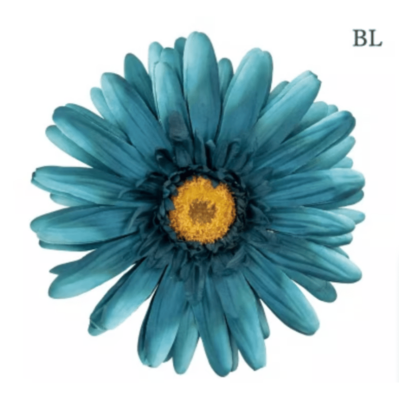 ジャンボフラワーjumbo flower a （ガーベラ）2本セット jumbo flower gerbera （ガーベラ） | ALL GOOD FLOWERS