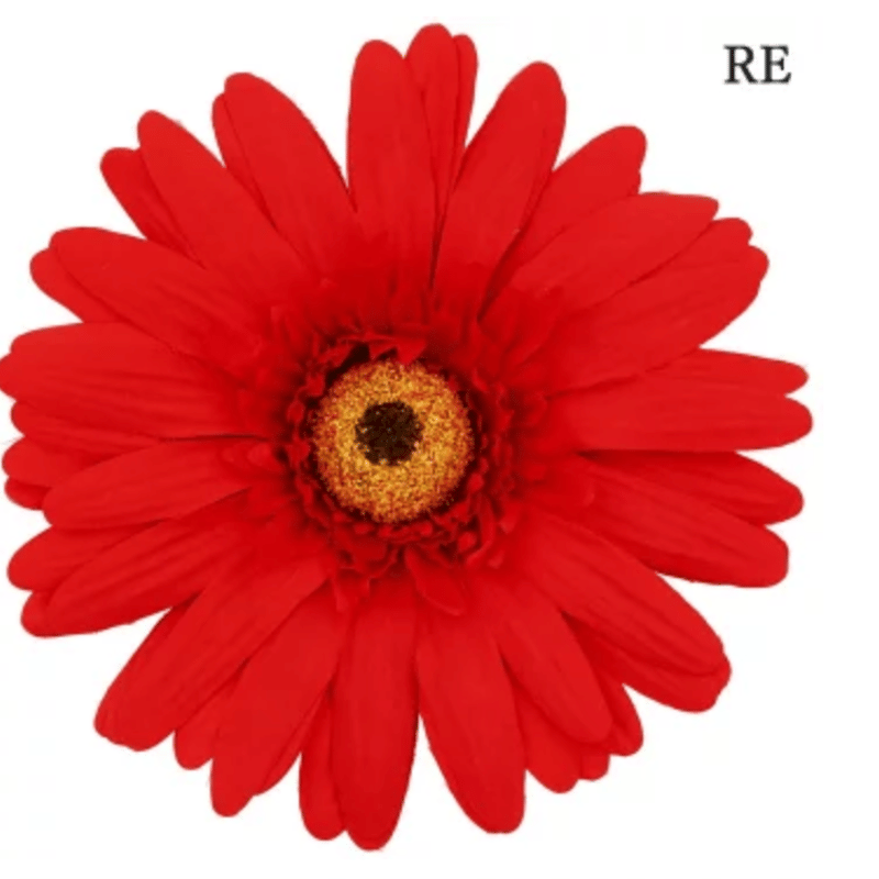 jumbo flower gerbera （ガーベラ） | ALL GOOD FLOWERS