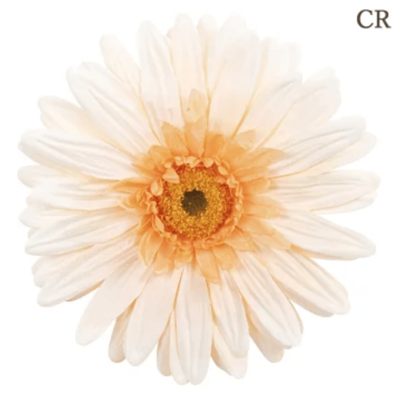 jumbo flower gerbera （ガーベラ） | ALL GOOD FLOWERS