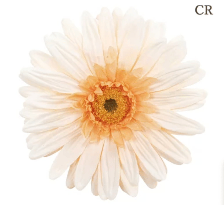 jumbo flower gerbera （ガーベラ） | ALL GOOD FLOWERS