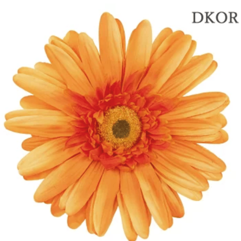 jumbo flower gerbera （ガーベラ） | ALL GOOD FLOWERS
