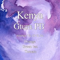 Kenya Gatura PB Washde