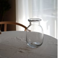 bubble   glass vase