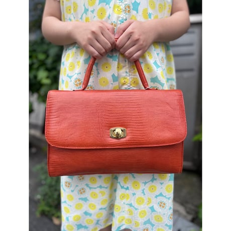France vintage＊e520