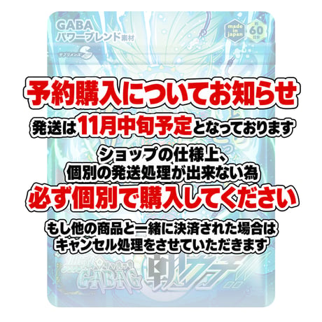 【予約購入】ねっちぎるほどzzz 無敵のギャバッグ もっと朝ガチ！