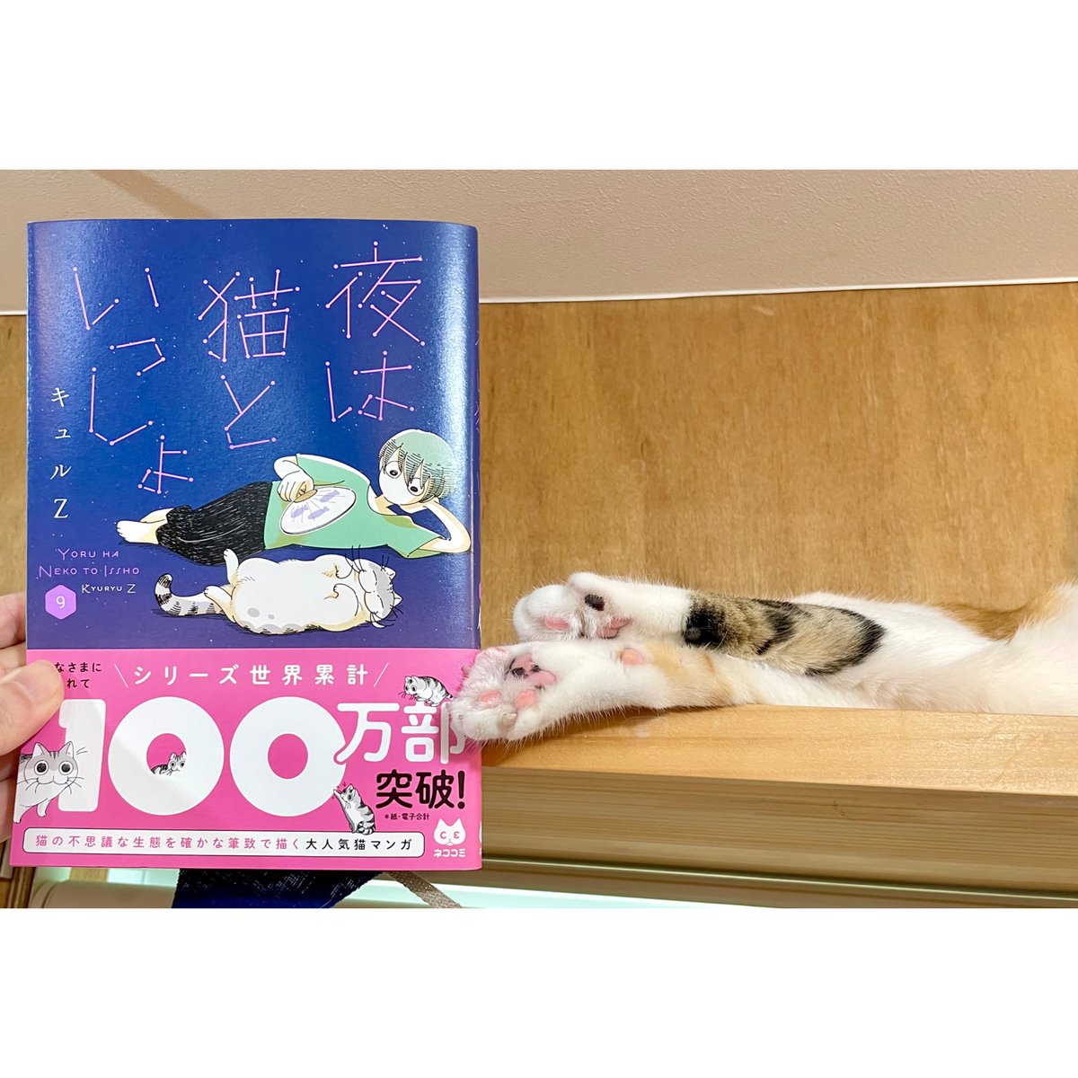 夜は猫といっしょ（1～9巻） | Cat's Meow Books Virtual Shop β