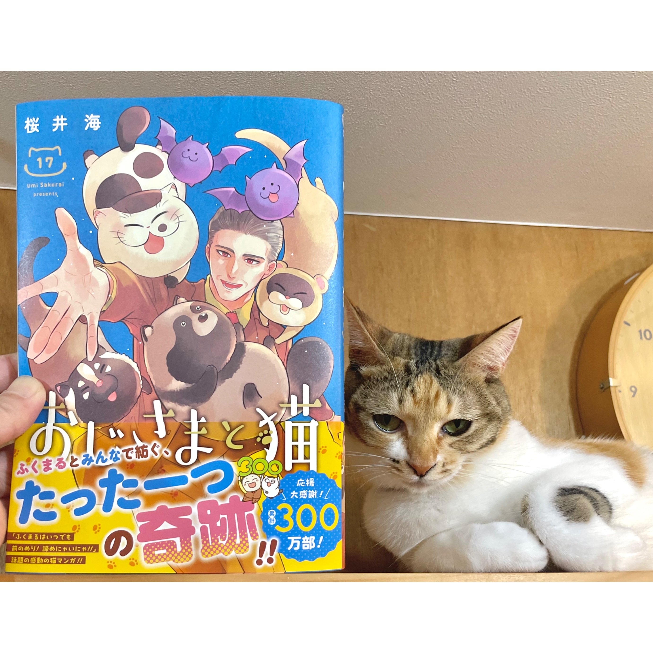おじさまと猫（1～17巻） | Cat's Meow Books Virtual Shop β