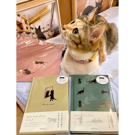 Cat's Meow Books Virtual Shop β