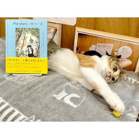 Cat's Meow Books Virtual Shop β