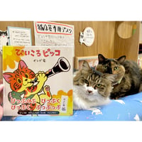 犬と猫どっちも飼ってると毎日たのしい 8 | Cat's Meow Books Virtual