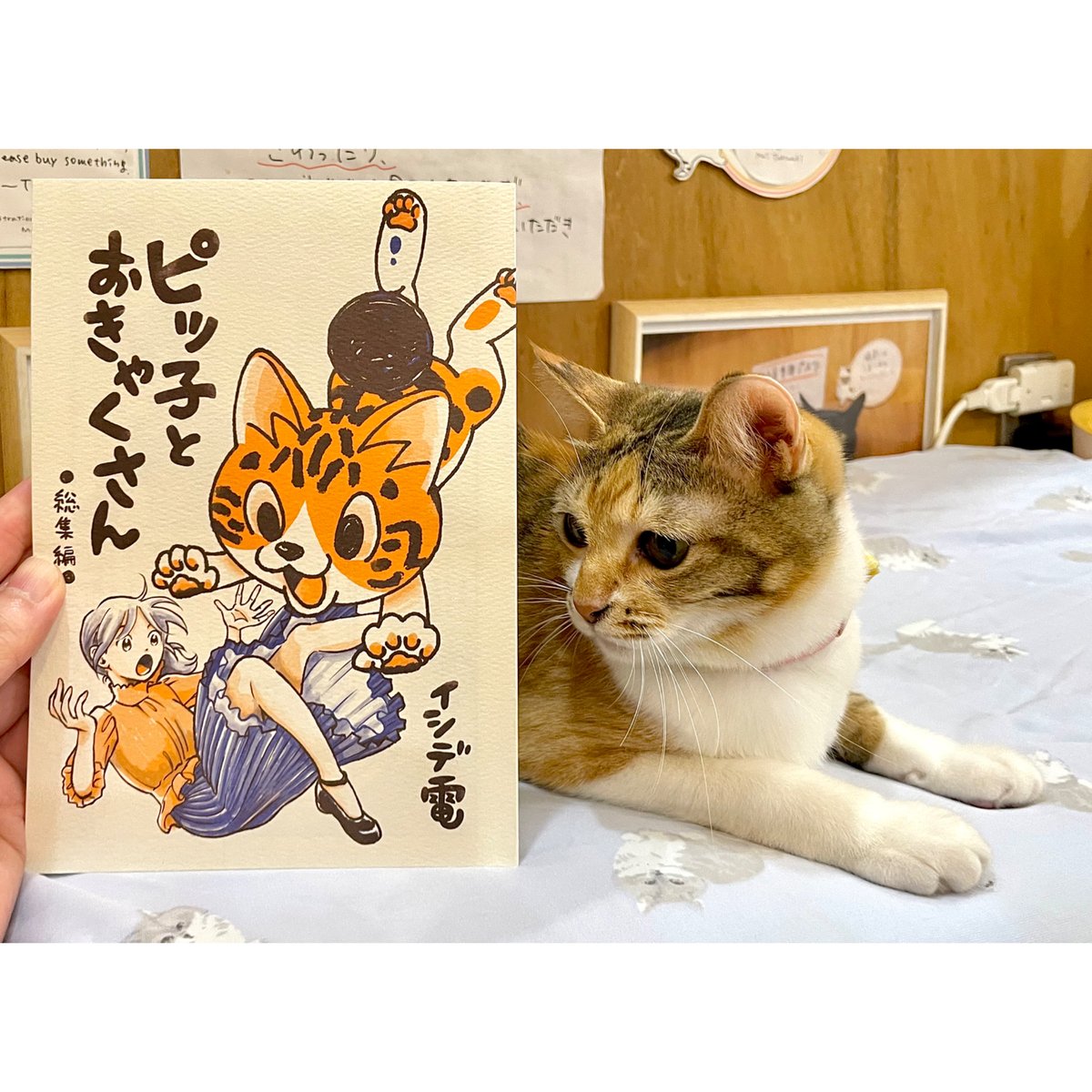 ぴいころピッコ」原画展グッズ | Cat's Meow Books Virtual Shop β