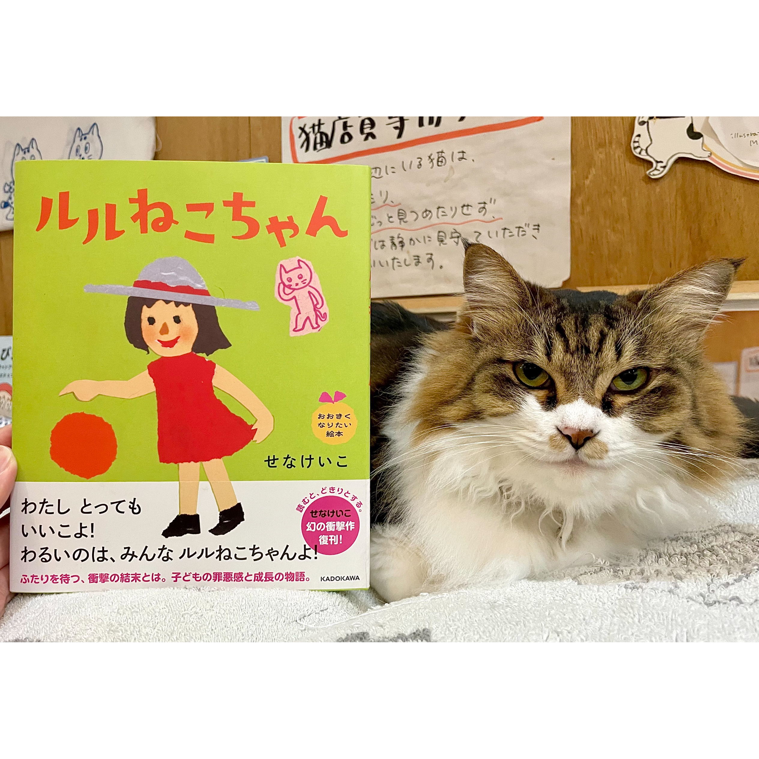 ルルねこちゃん | Cat's Meow Books Virtual Shop β