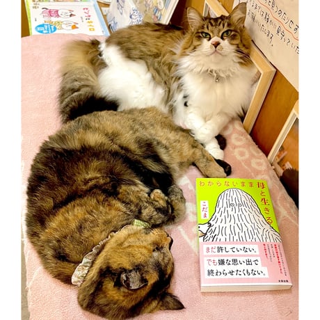 Cat's Meow Books Virtual Shop β