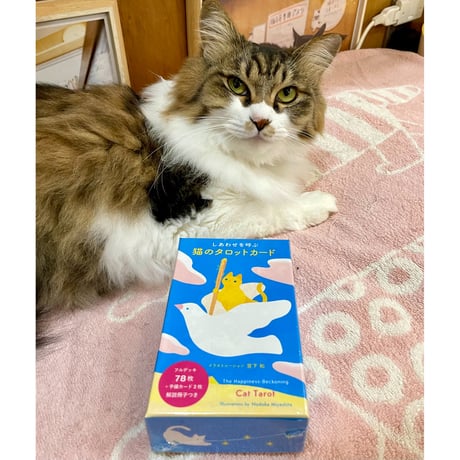 Cat's Meow Books Virtual Shop β