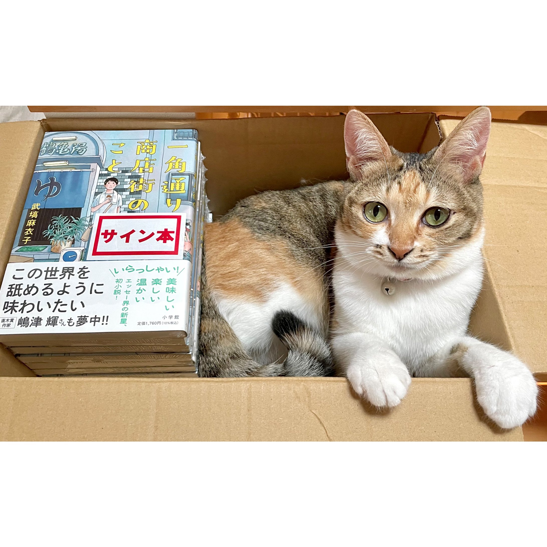 執事喫茶 20th フォトブック Swallowtail 才木さん　サイン入り 直筆サイン入り】一角通り商店街のこと | Cat's Meow Books Virtual