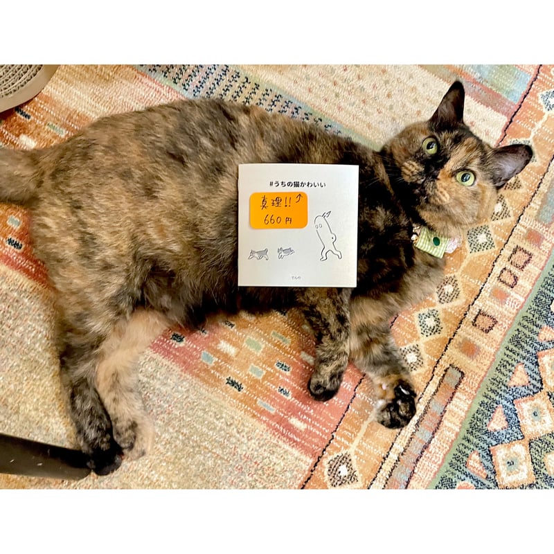 ぴいころピッコ」原画展グッズ | Cat's Meow Books Virtual Shop β
