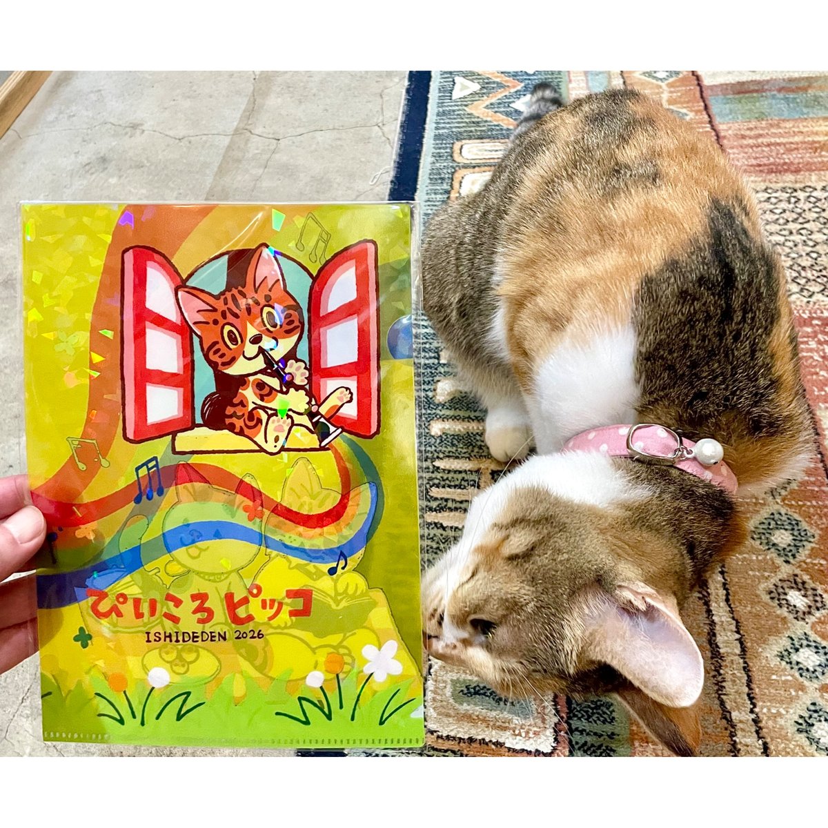 限定出品です　イワサトミキ　さん　原画　猫 ぴいころピッコ」原画展グッズ | Cat's Meow Books Virtual Shop β