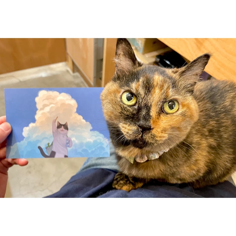 直筆サイン入り・送料無料】ネコずらり オノマイ作品集 | Cat's Meow