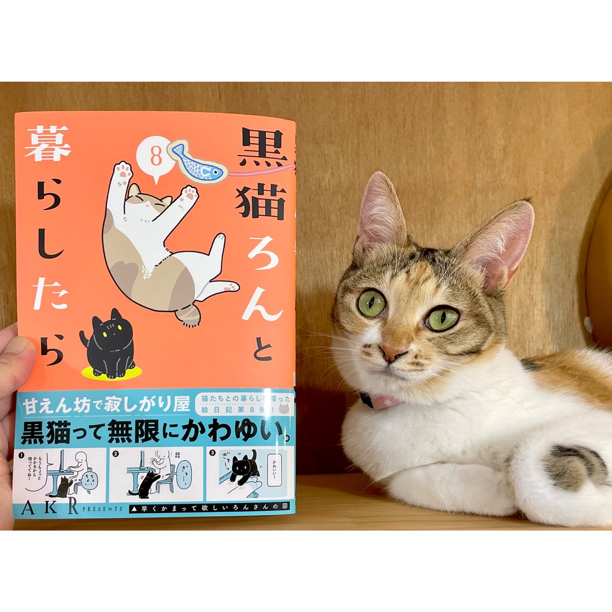 黒猫ろんと暮らしたら（1～8巻） | Cat's Meow Books Virtual Shop β