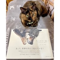 レア本 ひげよさらば 上・中・下 全3巻 ひげよ、さらば（上中下巻3冊