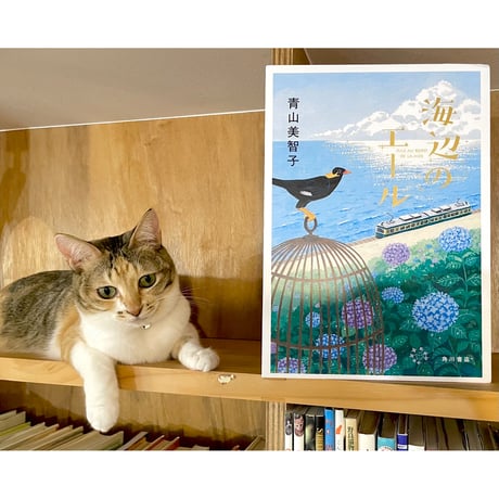 CATEGORY 青山美智子さん | Cat's Meow Books Virtual Shop β